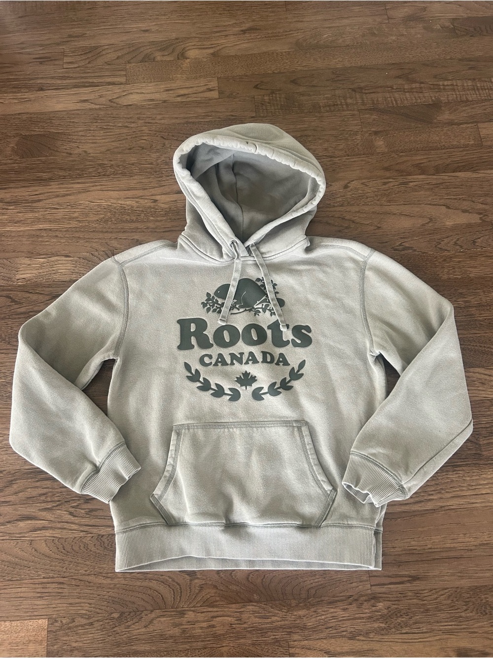 Roots Canada Women's XS Sage Green Logo Hoodie